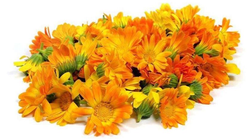 Extract de calendula în Promicil