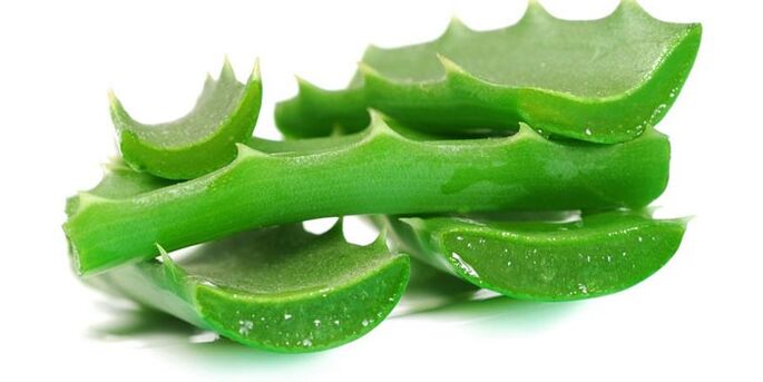 Aloe pentru tratamentul ciupercii de unghii